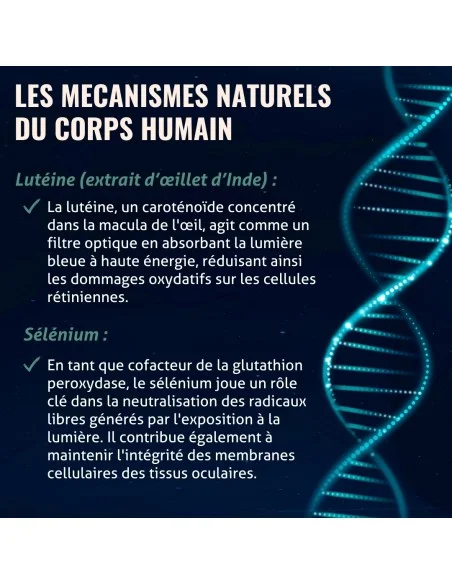 Blanche Bresson - Phyto Vision Plus - Les mécanismes d'action Blanche Bresson - Phyto Vision Plus - Les mécanismes d'action
