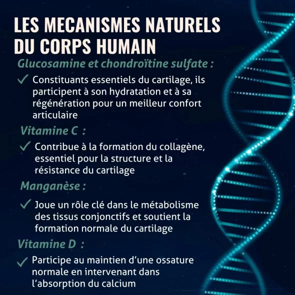 Blanche Bresson - Océan Cartilage de Requin - Les mécanismes d'action Blanche Bresson - Océan Cartilage de Requin - Les mécanismes d'action