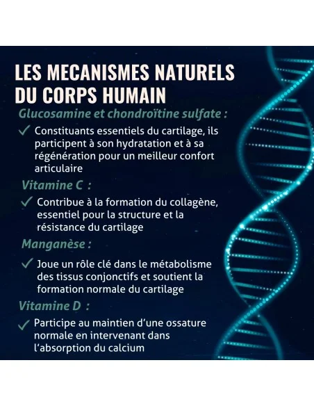 Blanche Bresson - Océan Cartilage de Requin - Les mécanismes d'action Blanche Bresson - Océan Cartilage de Requin - Les mécanismes d'action