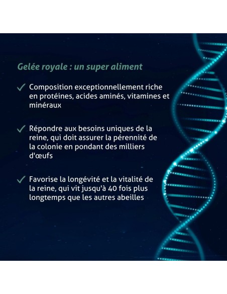 Blanche Bresson - Gelée Royale Bio pot- Les mécanismes d'action