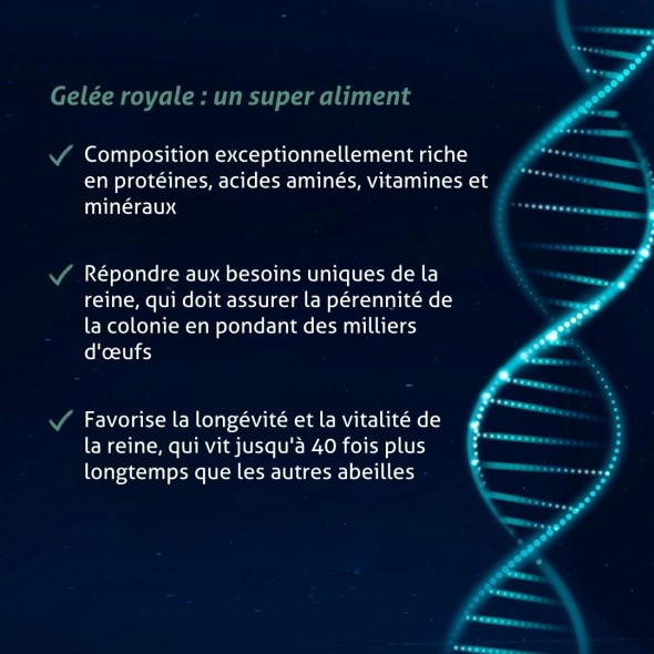 Blanche Bresson - Gelée Royale Ginseng - Les mécanismes d'action