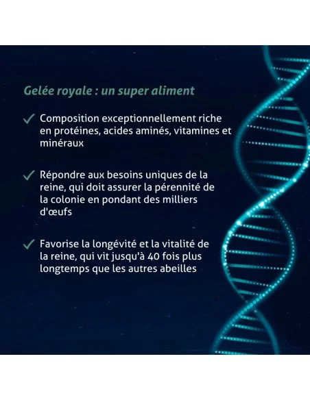 Blanche Bresson - Gelée Royale Ginseng - Les mécanismes d'action
