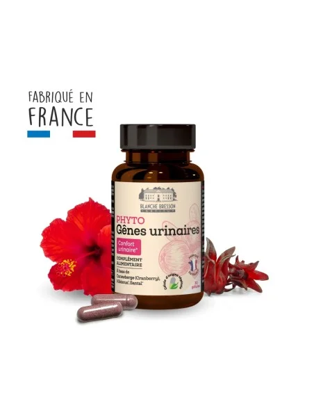 Blanche Bresson - Phyto Gênes Urinaires - Pack ingrédients