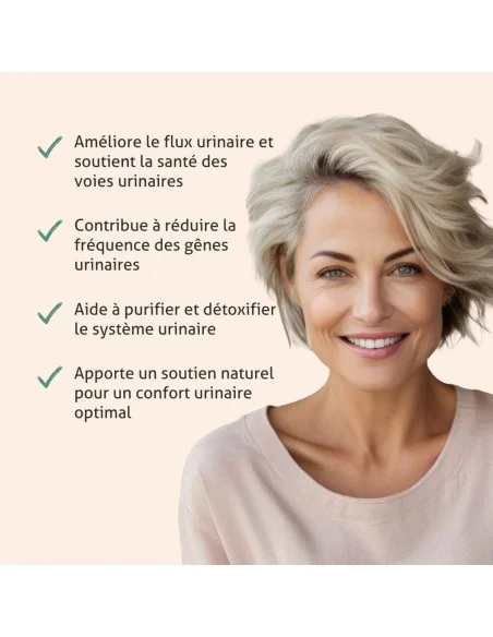 Blanche Bresson - Phyto Gênes Urinaires - Les actions