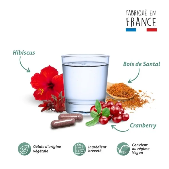 Blanche Bresson - Phyto Gênes Urinaires - La formule