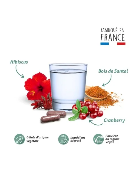 Blanche Bresson - Phyto Gênes Urinaires - La formule