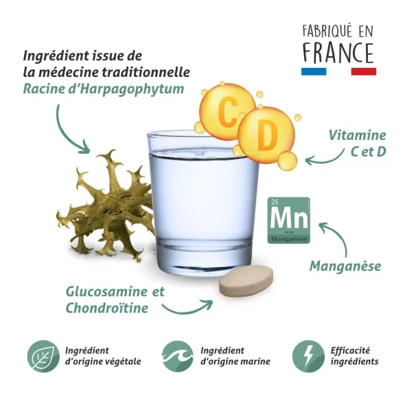 Blanche Bresson - Gluco Chondro Plus - La formule Blanche Bresson - Gluco Chondro Plus - La formule