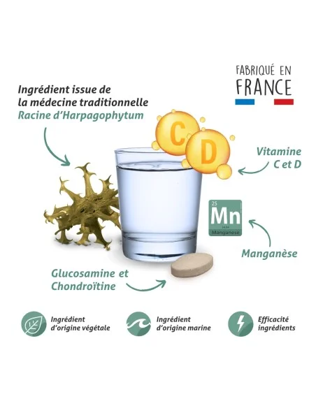 Blanche Bresson - Gluco Chondro Plus - La formule Blanche Bresson - Gluco Chondro Plus - La formule