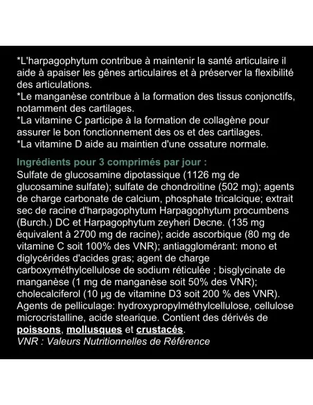 Blanche Bresson - Gluco Chondro Plus - Dos étiquettes Blanche Bresson - Gluco Chondro Plus - Dos étiquettes