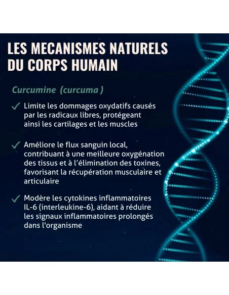 Blanche Bresson - Phyto Curcuma Bio - Les mécanismes d'action Blanche Bresson - Phyto Curcuma Bio - Les mécanismes d'action