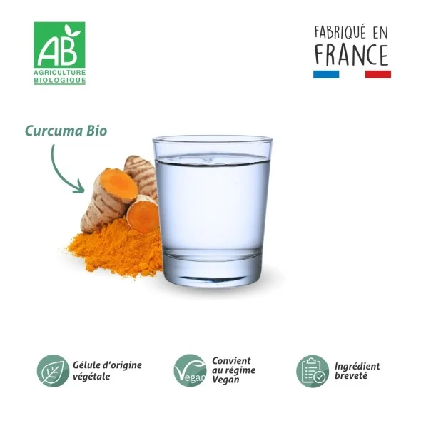Blanche Bresson - Phyto Curcuma Bio - La formule Blanche Bresson - Phyto Curcuma Bio - La formule