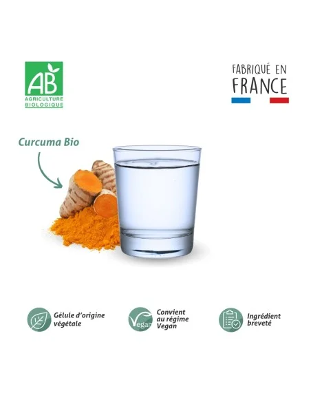 Blanche Bresson - Phyto Curcuma Bio - La formule Blanche Bresson - Phyto Curcuma Bio - La formule