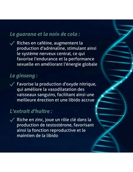 Blanche Bresson - Phyto Homme Plus - Les mécanismes d'action
