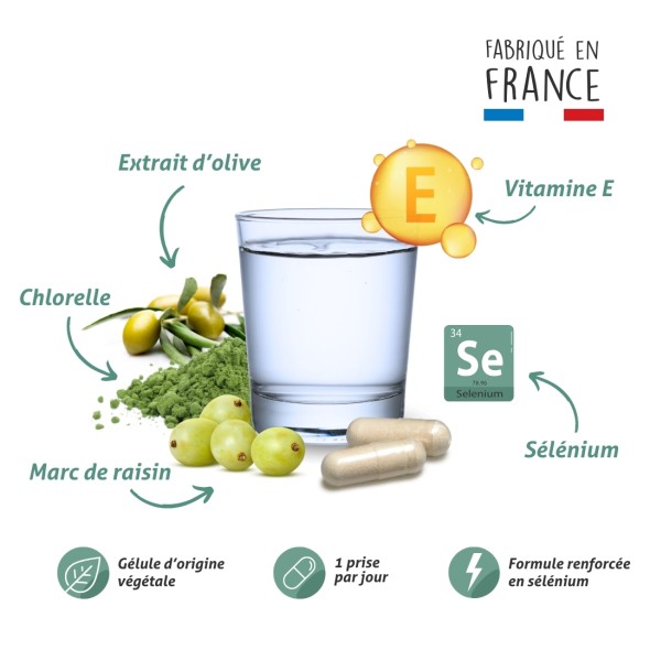 Blanche Bresson - Phyto Cholest Control - La formule