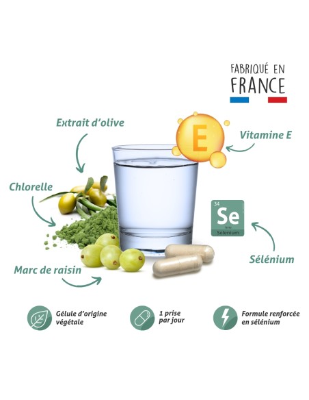 Blanche Bresson - Phyto Cholest Control - La formule