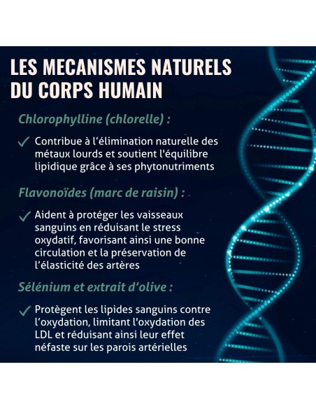 Blanche Bresson - Phyto Cholest Control - Les mécanismes d'action