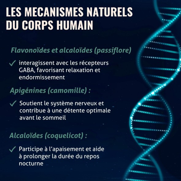 Blanche Bresson - Phyto Sommeil Facile - Les mécanismes d'action