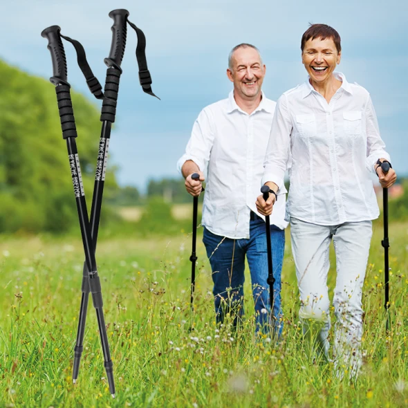 Bâtons de marche antichoc